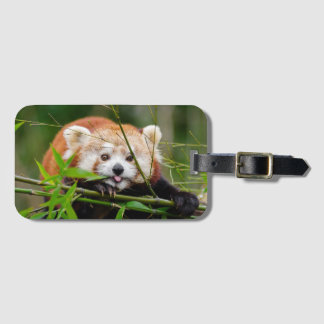 Red Panda Luggage Tag