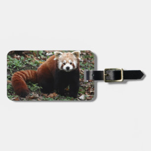 Red Panda Luggage Tag
