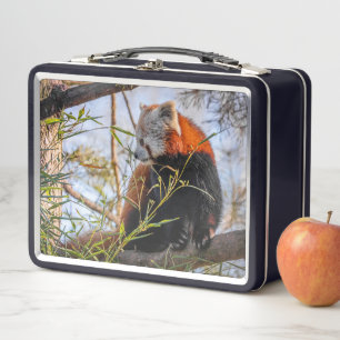 Red panda metal lunch box