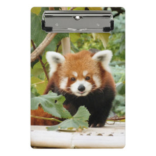 Red Panda Mini Clipboard