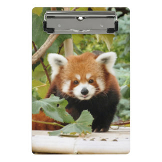 Red Panda Mini Clipboard
