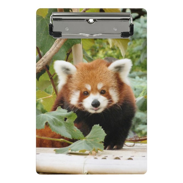 Red Panda Mini Clipboard (Front)