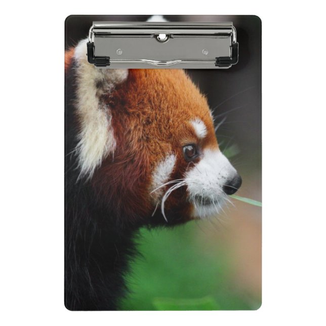 Red panda mini clipboard (Front)