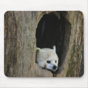 Red Panda Mouse Mat