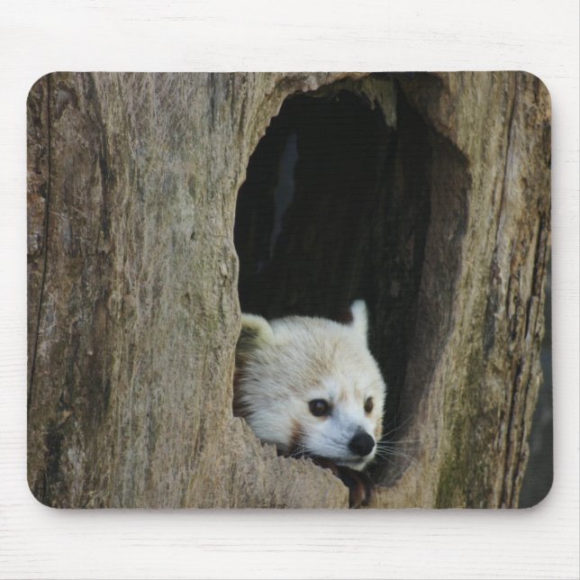 Red Panda Mouse Mat (Front)