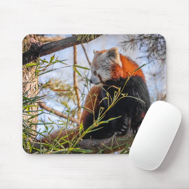Red panda mouse mat (With Mouse)