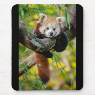 Red Panda Mouse Mat