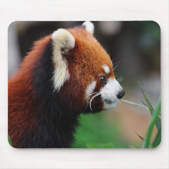 Red panda mouse mat (Front)
