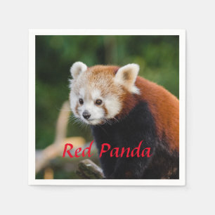 Red Panda Napkin