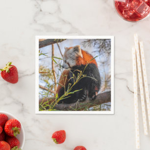 Red panda napkin