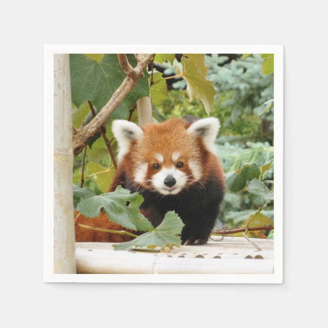 Red Panda Napkin (Front)