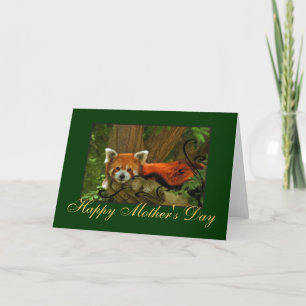 Red Panda Nature Mothers Day Greeting Card