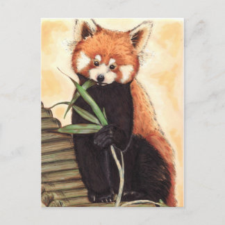 Red Panda Nom Postcard
