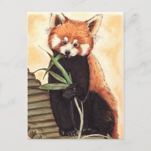 Red Panda Nom Postcard (Front)