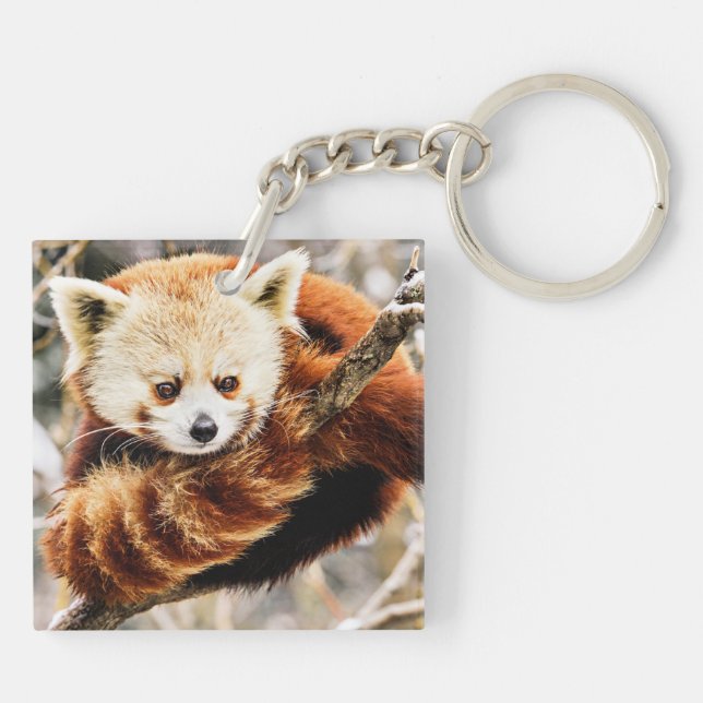 Red panda on a tree limb key ring (Back)
