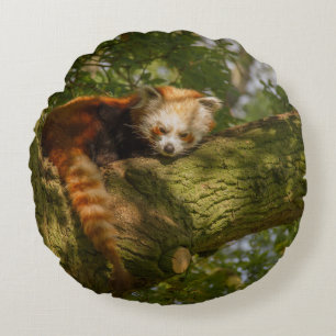 RED PANDA ON GREEN TREE BRANCH ROUND CUSHION