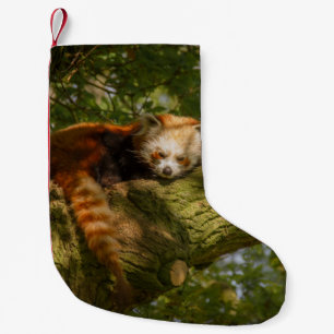 RED PANDA ON GREEN TREE BRANCH SMALL CHRISTMAS STOCKING