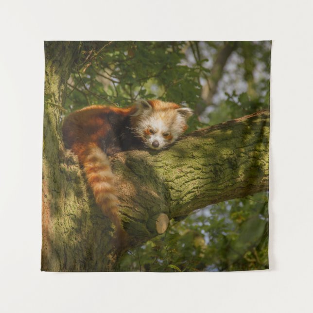 RED PANDA ON GREEN TREE BRANCH TAPESTRY (Front)