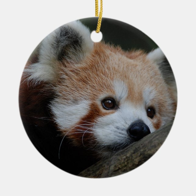 Red Panda Ornament (Front)