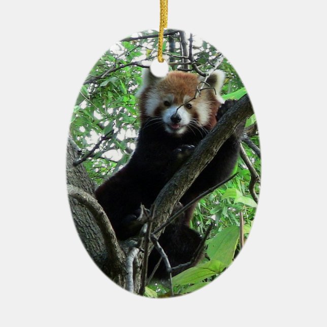 Red Panda Ornament ~ Endangered Species Series (Front)