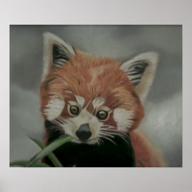 Red Panda Pastel Painting Artwork Poster (Front)