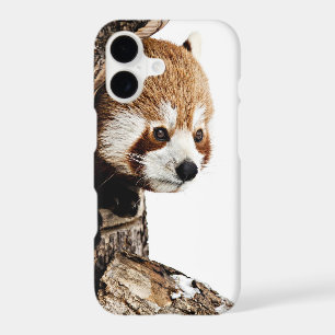 Red panda peeking out from a tree trunk