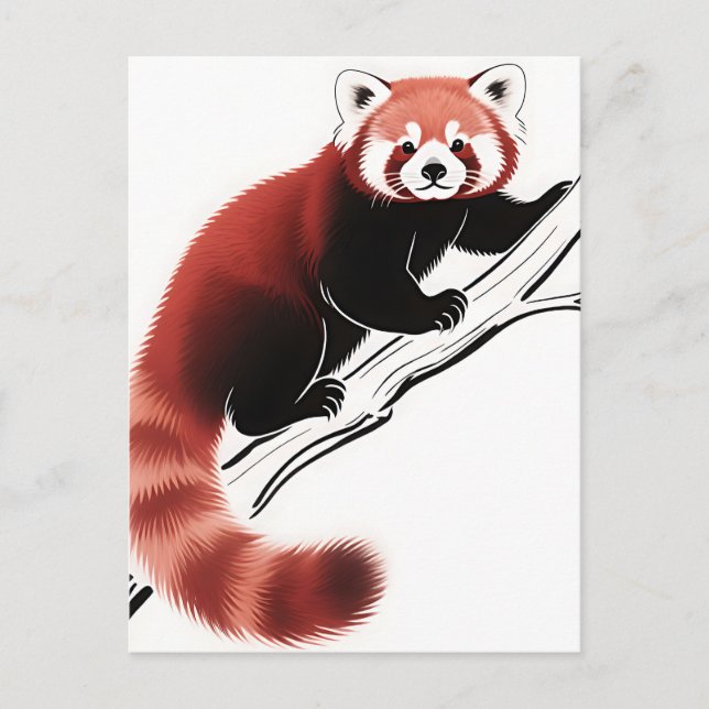 Red Panda Perched Branch Postcard (Front)