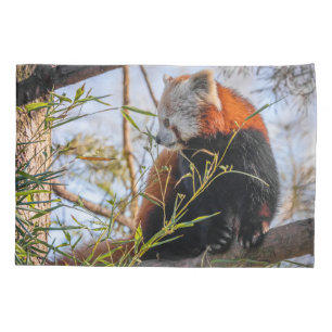 Red panda pillowcase