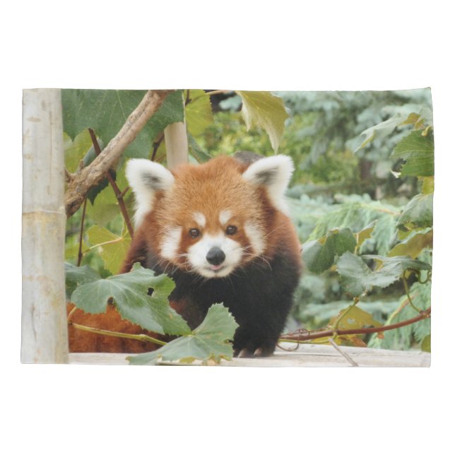 Red Panda Pillowcase (Back)