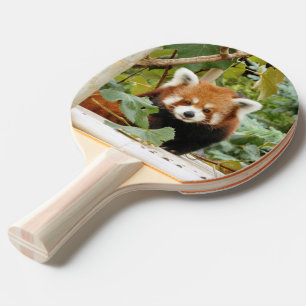 Red Panda Ping Pong Paddle