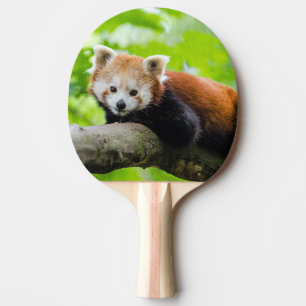 Red Panda Ping Pong Paddle