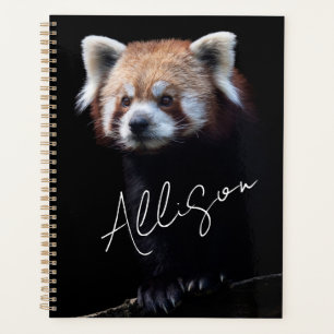 Red Panda  Planner