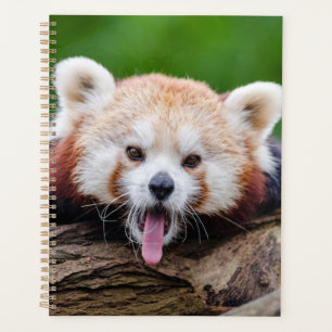 Red Panda Planner