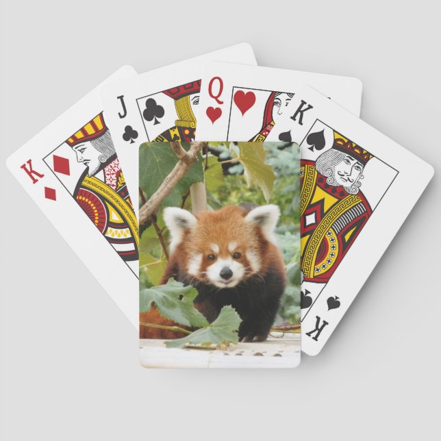 Red Panda Playing Cards (Back)