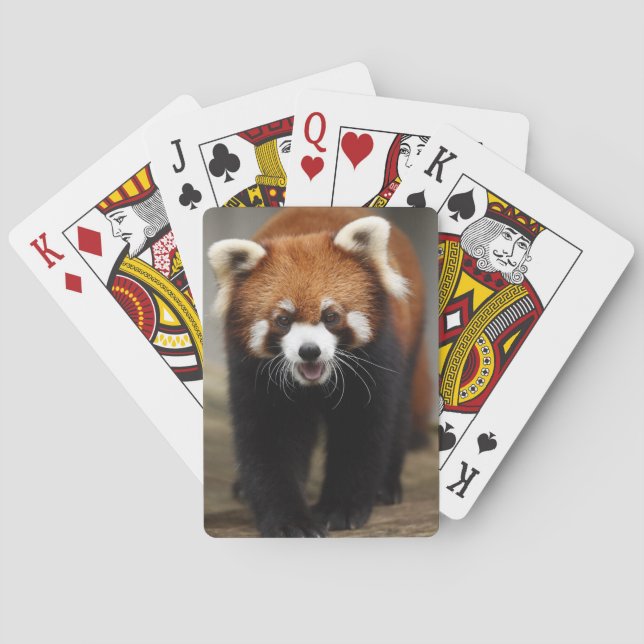 Red Panda Playing Cards (Back)