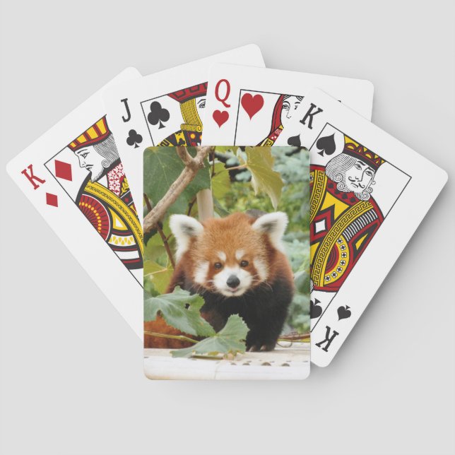 Red Panda Playing Cards (Back)