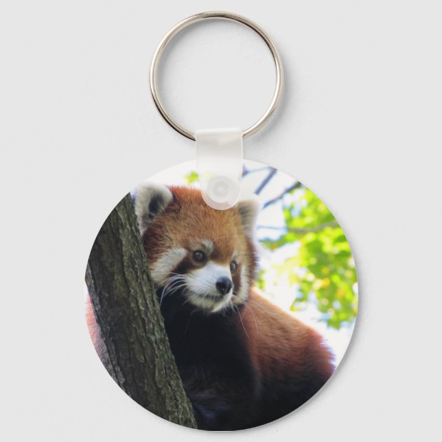 Red Panda Portrait Key Ring (Front)