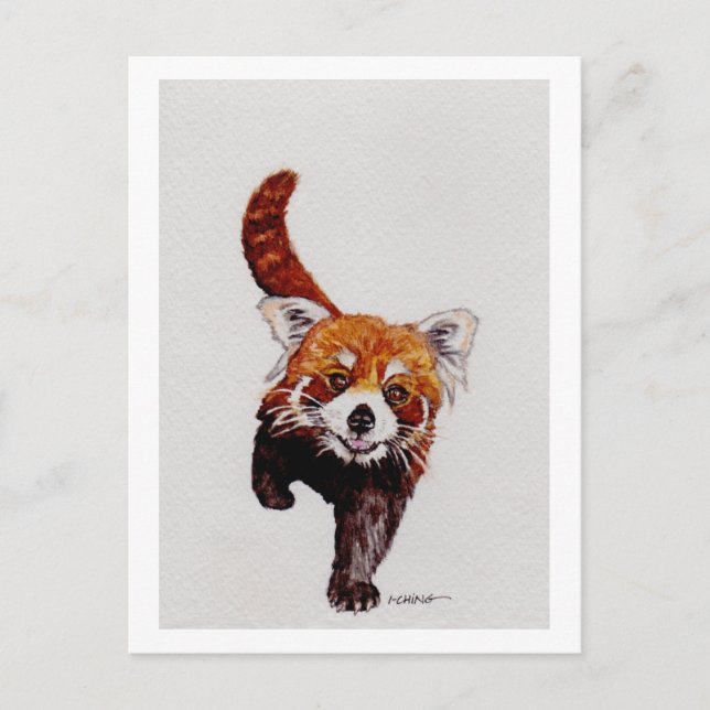 Red Panda Postcard (Front)