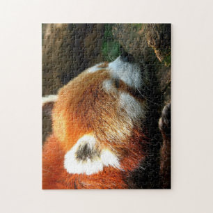 Red Panda Puzzle