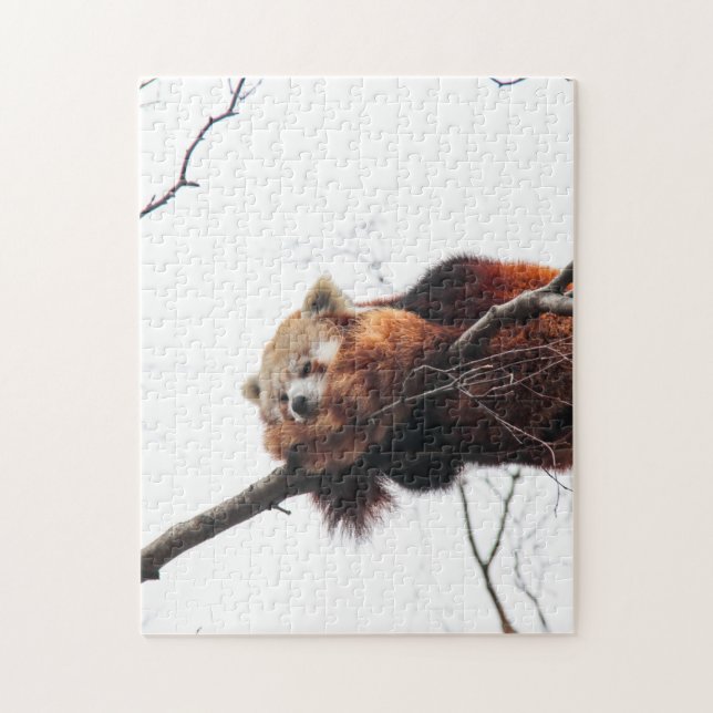 Red Panda Puzzle/Jigsaw Jigsaw Puzzle (Vertical)
