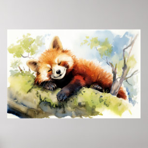 Red Panda Relaxing In Garden Animal Fun Happy Cool Poster