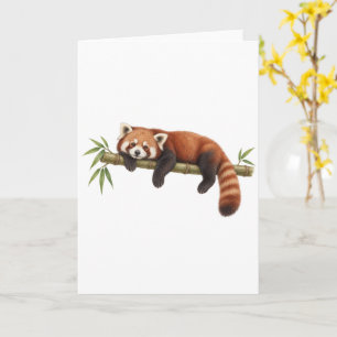 Red Panda Resting on Bamboo Card