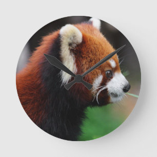 Red panda round clock