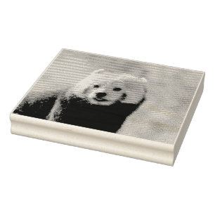 Red Panda Rubber Stamp