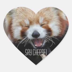 Red Panda - Say Cheese! Heart Sticker