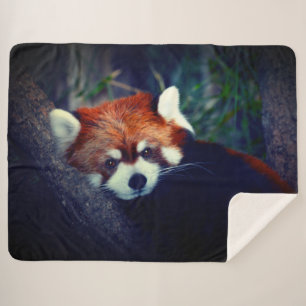 Red Panda Sherpa Blanket