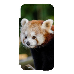 Red Panda Sitting On Snowy Log Incipio Watson™ iPhone 5 Wallet Case