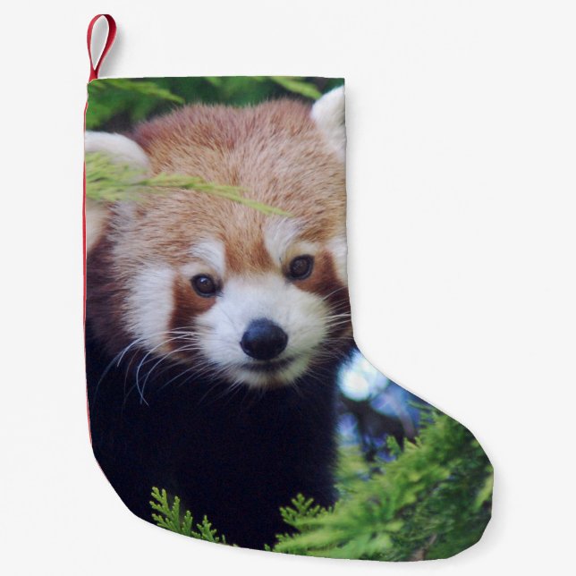 Red Panda Small Christmas Stocking (Front)