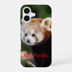 Red Panda Snowy Log Picture iPhone 16 Case