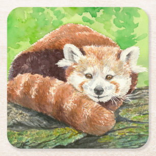Red panda square paper coaster